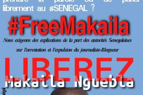 Article : Ce que les Guinéens doivent savoir sur le blogueur Makaila Nguebla